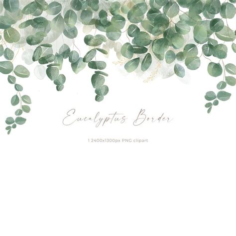 Eucalyptus Watercolor Border Floral Border Greenery Foliage Border