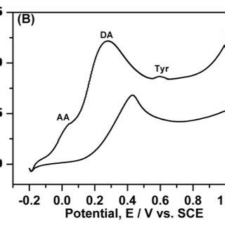 A Cyclic Voltammograms Of A Bare Graphite Electrode B Bare Graphite