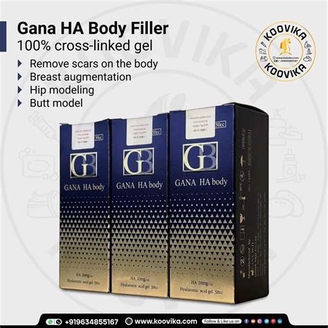 Gana HA Body Filler At Rs 8740 Pack In Panchkula ID 2852779697062