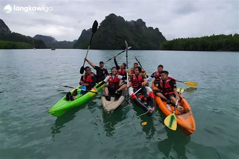 Mangrove Kayaking Tour Langkawi Book Now Pay Later Tours