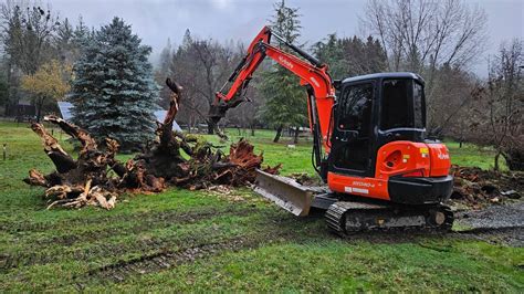 Rotten Ripper Stumps With The Kubota KX 040 4 YouTube