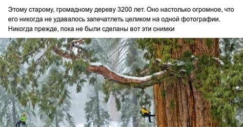 "Президент", которому 3200 лет | Пикабу