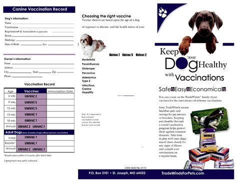 Free Printable Dog Vaccination Record Template: Keep Your Pet's Health