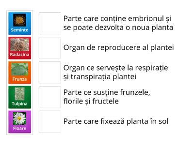 Componentele Calculatorul Resurse Didactice