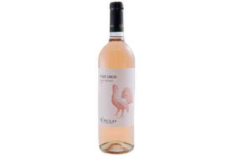 Concilio Pinot Grigio delle Venezie Rose IGT (6x750ml) | Wholesale ...