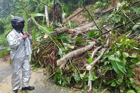 Jalur Puncak Cianjur Rawan Potensi Bencana Pohon Tumbang Banjir Dan