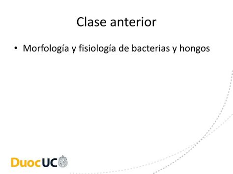 Solution Ppt Pruebas Bioqu Micas De Diferenciaci N De Pat Genos