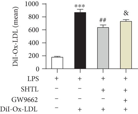 Shtl Pretreatment Attenuates Lps And Ox Ldl Induced Lipid Accumulation