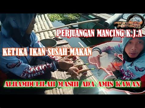 Perjuangan Mancing K J A Ketika Ikan Susah Makan Dapat Strike Siang