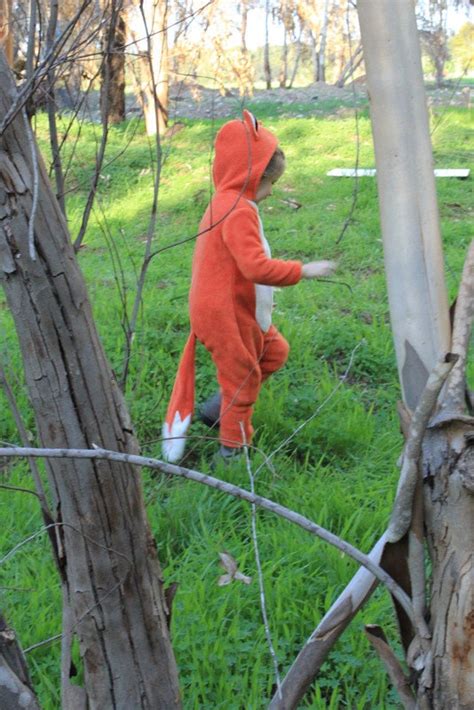 Fox costume/ Kids Costume/ Baby Costume