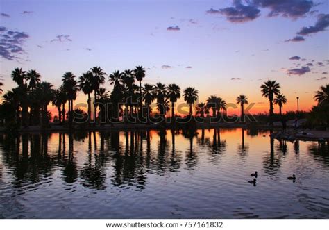 Papago Park Palm Tree Sunset Arizona Stock Photo 757161832 | Shutterstock