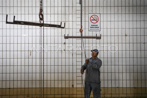 Persiapan Rumah Potong Hewan Jelang Idul Adha Antara Foto