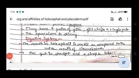 General organization and affinities of Holocephali||#msczoology ||# ...