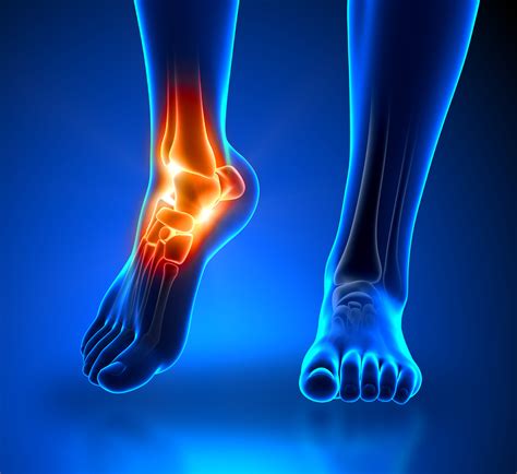 Functional Reconstruction Of The Foot And Ankle 8