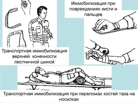 Правила и способы оказания первой медицинской помощи при ранениях и ...