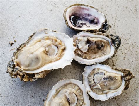 pearls   oyster world houstonia magazine