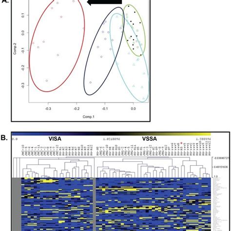 A Principal Component Analysis Of The Metabolic Profiles Of Isolates Download Scientific