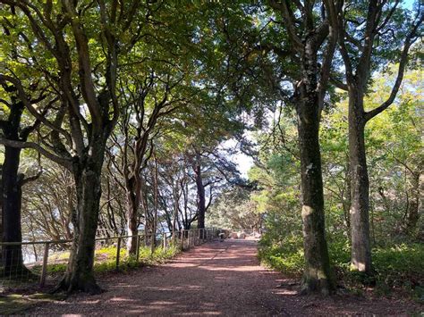 Highcliffe To Mudeford Quay Walk Dorset Walks