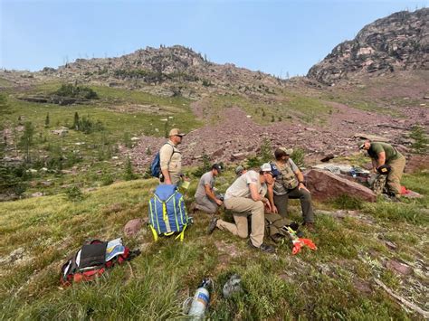 Bush Tour 2026: Explore the Wilderness Like Never Before!