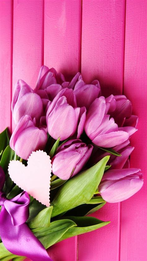 Tulips iPhone Wallpapers - Top Free Tulips iPhone Backgrounds ...