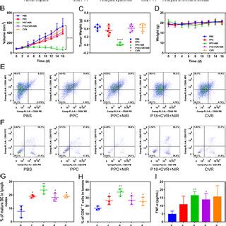 In Vivo Anti Tumor Efficacy And Immune Effect Of PPC Nanospheres A