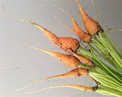 Element Primary Care Clinic | Omaha NE