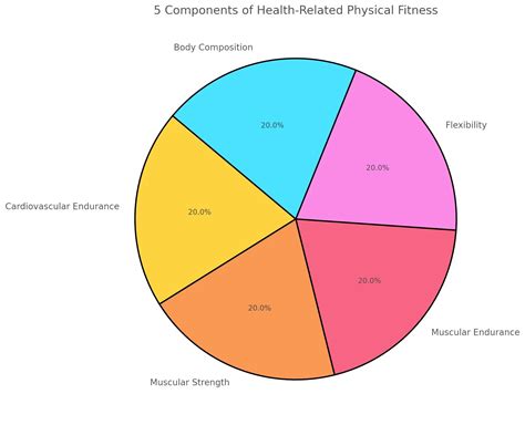 components  fitness train daly