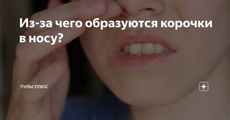 Из-за чего образуются корочки в носу? | ПульсПлюс | Дзен