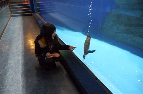 JapaneseBeauties Airi Minami jav model Free JavIdol nude picture gallery みなみ愛梨 AV女優ギャラリー 無修正エロ画像