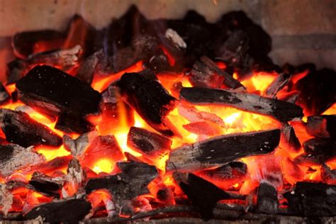 Ratgeber Grillen Holzkohle Gas Und Elektrogrills Webkoch De Ratgeber