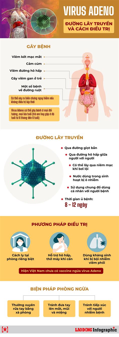 Alpha Thalassemia Hi U Bi T V B Nh Ph Ng Tr Nh V I U Tr