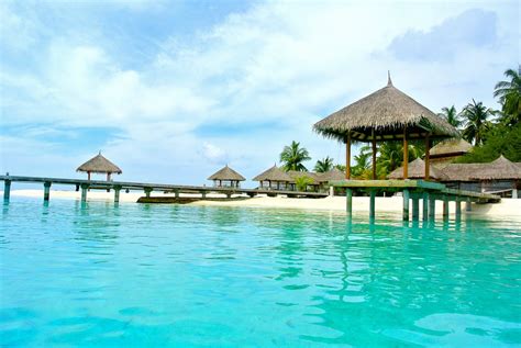 Free photo: Maldives, Coconut Tree, Sea, Resort - Free Image on Pixabay ...