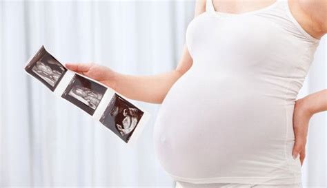 body   pregnancy   expect   trimester