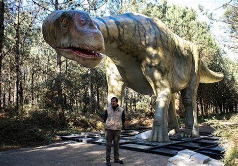 Dinossauros Na Vida Real - Bahia.ba | Portugal terá parque com dinossauros em tamanho real