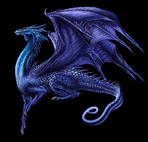 Saphira Saphira Dragon Dragon Images Dragon Pictures