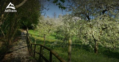 Best hikes and trails in Pinzberg | AllTrails