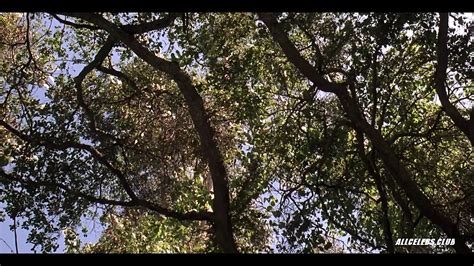 Free Friday The Th Porn Videos Xhamster