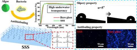 Fabrication Of Polydimethylsiloxane Attached Solid Slippery Surface