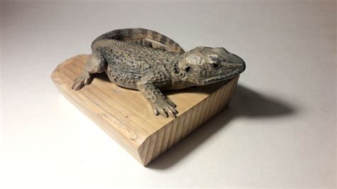 Lizard Sculpture Wooden Large Lizard Animal Carving Etsy