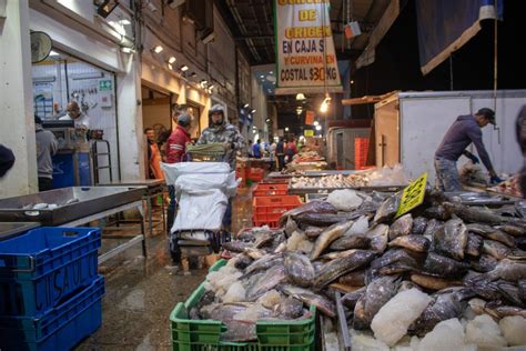 Retuvo La CONAPESCA Mil 300 Toneladas De Productos Pesqueros