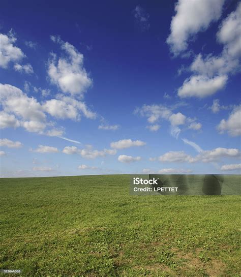 big green field stock photo  image  agricultural field