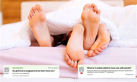 Stupid Sex Questions Asked By Clueless Internet Users Daily Mail Online
