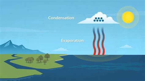 How Does Rain Form And What Is The Water Cycle Youtube