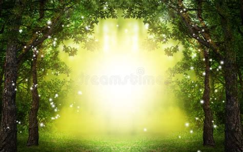 915 Enchanted Forest Lights Stock Photos - Free & Royalty-Free Stock ...