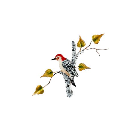 Red Bellied Woodpecker On Birch Dunegrass Collection