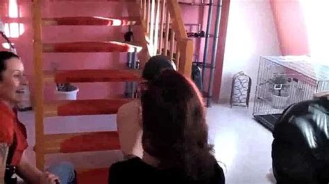 Watch Femdom Femdom Femdom Domination Fetish Porn SpankBang
