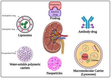 Advanced Drug Delivery Systems for Renal Disorders