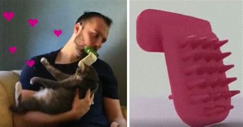 You Can Finally Lick Your Cat With This Innovative Pet Brush | Bored Panda
