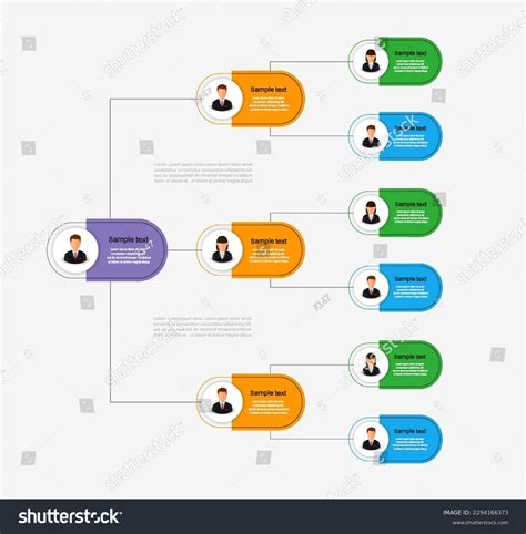 Corporate Organizational Chart Business Hierarchy Infographic Stock ...