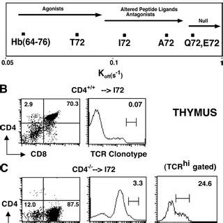 N L Rag Cd Mice Are Severely Impaired In Positive Selection